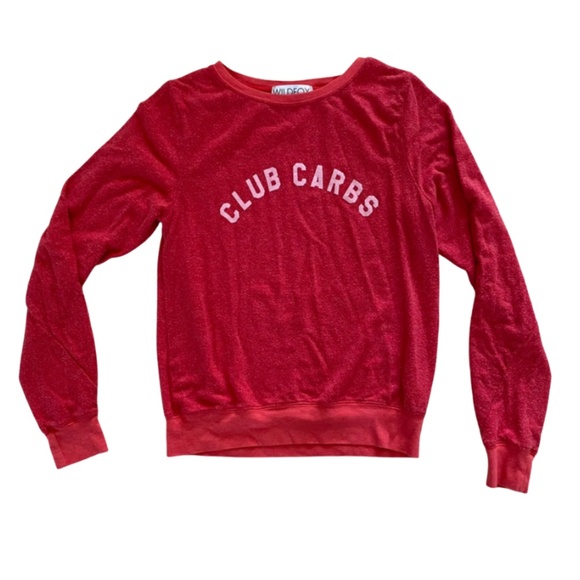 Wildfox Tops - NEW Wildfox Club Carbs Baggy Beach Jumper - Small
